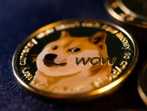 Is Dogecoin a Good Investment? Elon Musk Continues Supporting Meme Cryptocurrency, But Experts Say It's Risky