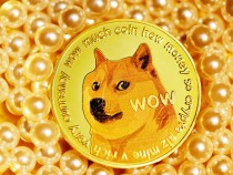 Dogecoin Price Boost: Elon Musk Tweets ‘Space Race’ vs. Bitcoin in Support of Meme Crypto