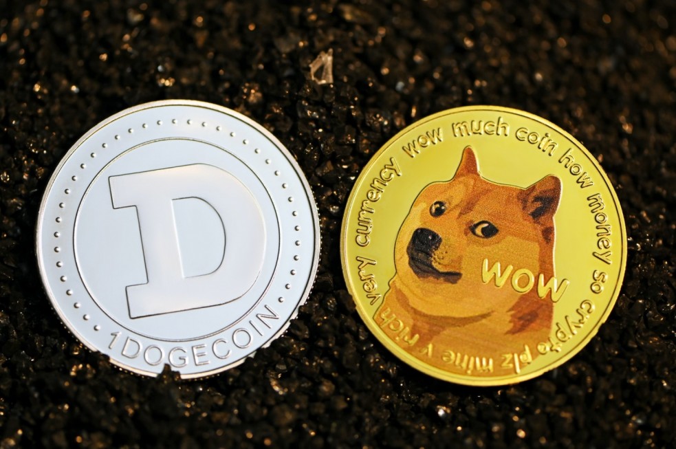 Dogecoin Investment Is a Joke: Expert Warns Meme Coin Is ...