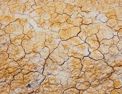 US Drought Monitor: Online Tracker to Check Worsening Meteorological Conditions