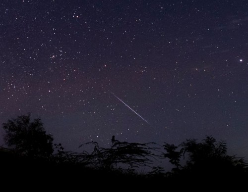Meteor Shower 2021: How to Snap Photos of Twin Fireballs Using Your iPhone