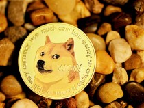 Dogecoin Price Prediction: Crypto Industry in Danger, Shark Tank Investor Calls Doge a Gamble 