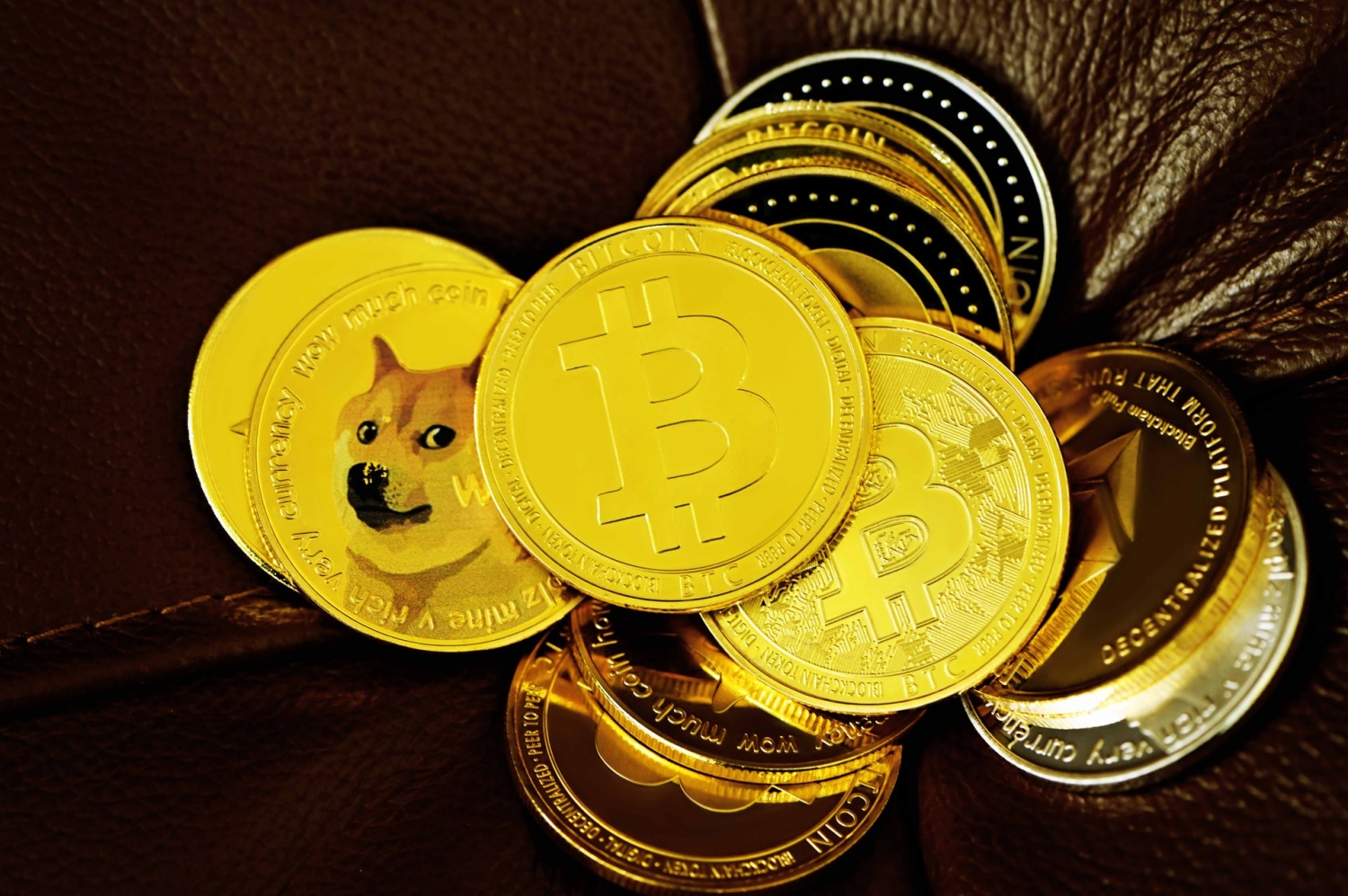 Dogecoin Price Boost: Elon Musk Joins Mark Cuban in Empowering Doge