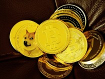 Dogecoin Price Boost: Elon Musk Joins Mark Cuban in Empowering Doge