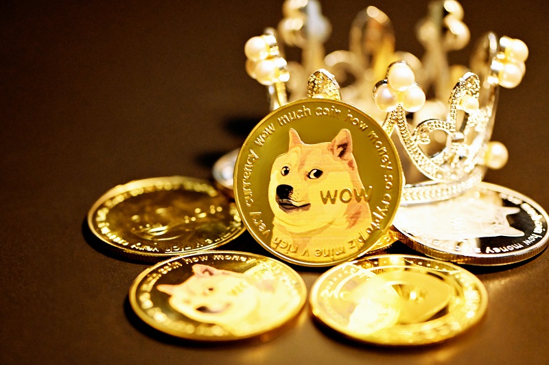 Dogecoin a Bad Investment? Expert Calls It 'Terrible,' But Doge Price Predictions See Massive Surge