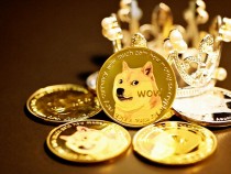 Dogecoin a Bad Investment? Expert Calls It 'Terrible,' But Doge Price Predictions See Massive Surge