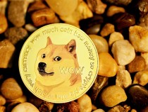 Elon Musk Gives Dogecoin Price a Massive Boost With Cute Tweet! [PHOTO]