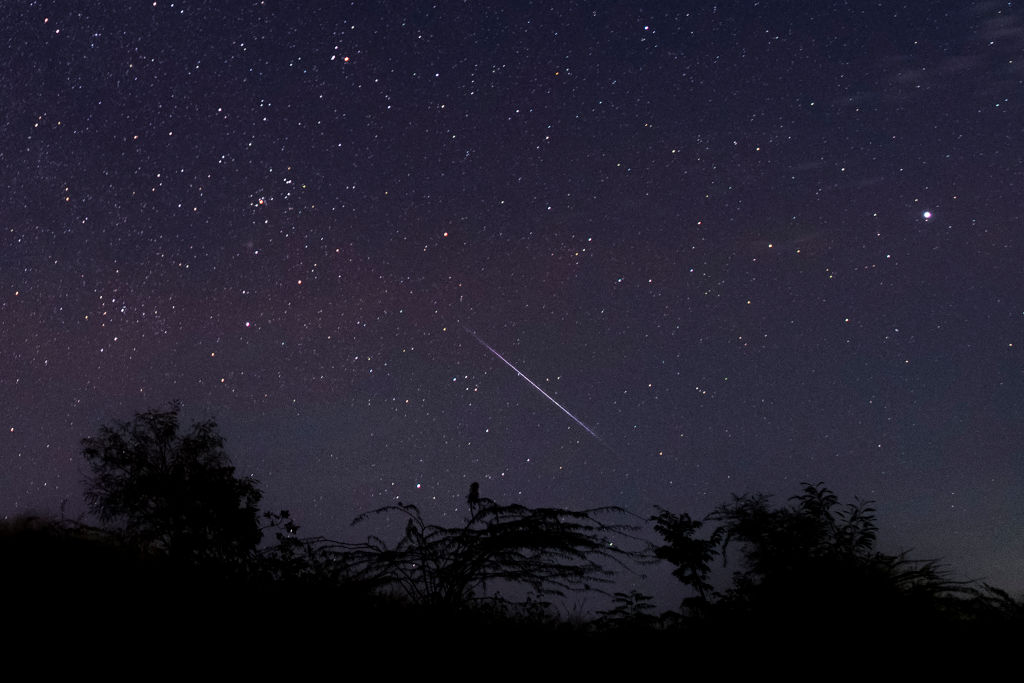 Orionid Meteor Shower or Falling Satellite? Mysterious Fireball Stuns Americans!