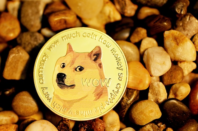 Dogecoin to the Moon: 5 Celebrities That Also Support the Meme Coin