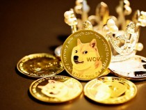 Shiba Inu Price Update: Cryptocurrency Value Declining; Does Elon Musk Have the Meme Coin?