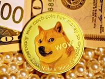 Dogecoin Update: Ripple CEO Convinced Meme Coin Is Not Best For Cryptocurrency; Elon Musk Shares Insights On Glitch