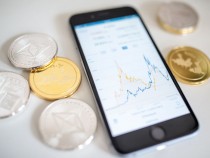 Shiba Inu Price Crash Is Concerning; What Are the Crypto Alternatives for SHIB?