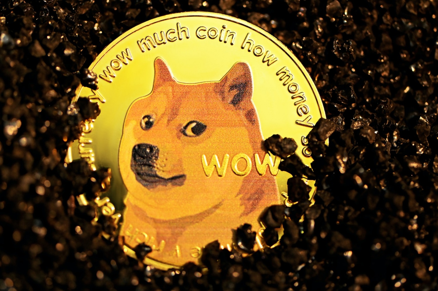Shiba Inu, Dogecoin Killers: 3 Crypto Coins That Are Doing Better Than Meme Coins