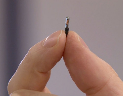 Microchip Implant as COVID-19 Vaccine Passport Draws Privacy Concerns: Can It Track Your Location?