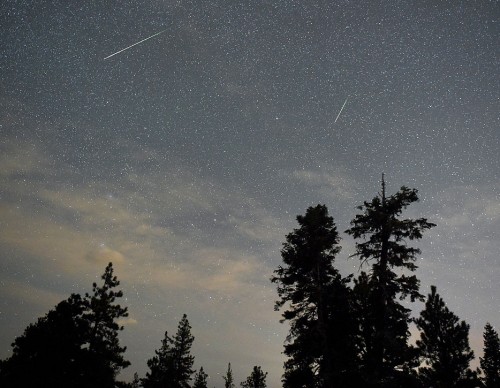 Meteor Sighting 2022: Over 130 People Witness Giant Fireball Coming From the Sky!