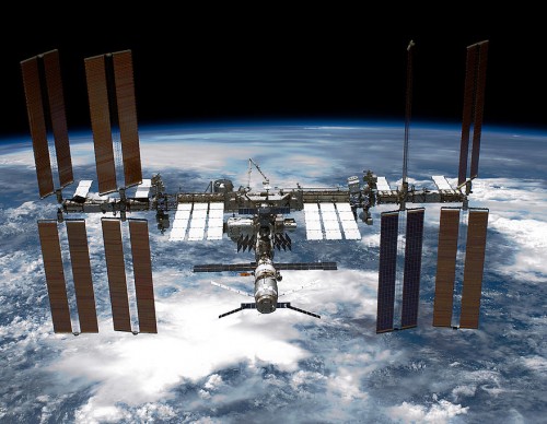  Is the ISS an Ideal Place to Grow Billions of Stem Cells? Scientists Seem to Think So