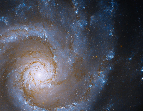 NASA's Hubble Space Telescope Captures Magnificent Galaxy 'Grand Design Spiral'