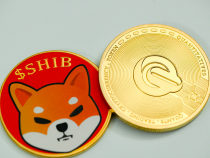 Shiba Inu Founder Ryoshi Cancels Himself: Tweets and Blog Posts Now Deleted