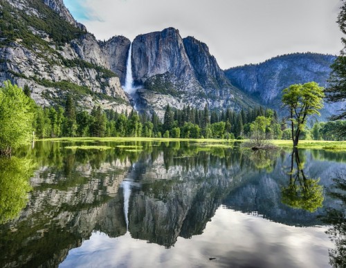 Great Outdoors Month: These Apps Will Help You Explore the Country's National Parks