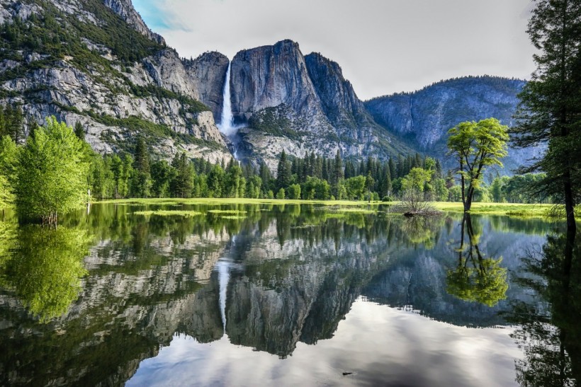 Great Outdoors Month: These Apps Will Help You Explore the Country's National Parks
