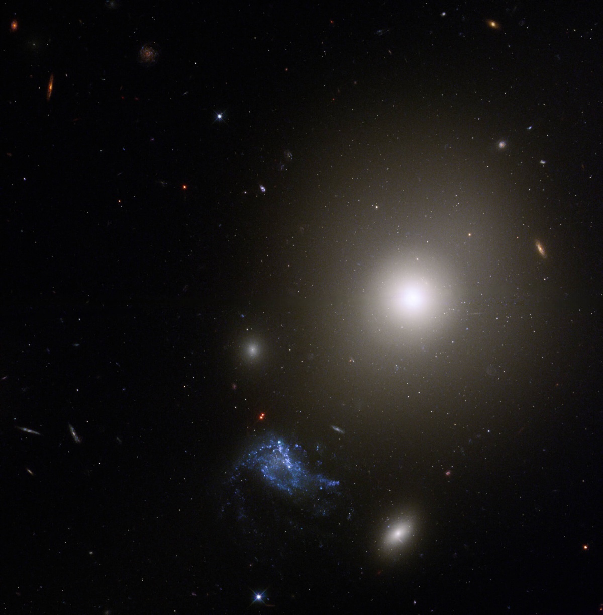 Das Hubble-Weltraumteleskop macht ein Bild einer Zwerggalaxie neben einer sehr hellen elliptischen Galaxie
