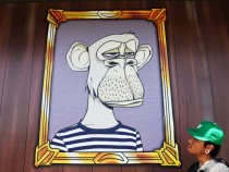 Bored Ape Yacht Club, Otherside NFTs Stolen via Discord Over the Weekend — How Did It Happen?