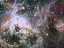 Hubble Space Telescope's Photo of the Tarantula Nebula