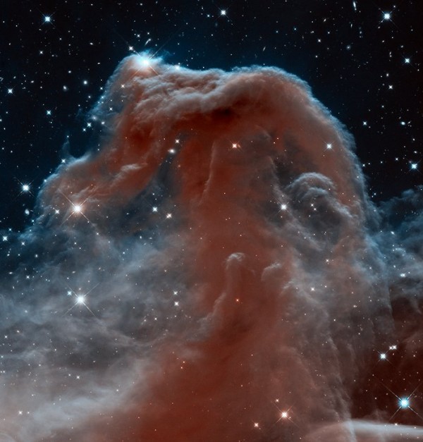 La imagen del Telescopio Espacial Hubble de la cabeza del caballo Nepoca