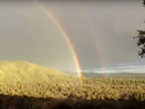 [VIRAL FLASHBACK] Remember the Double Rainbow Video That Went Viral in 2010?