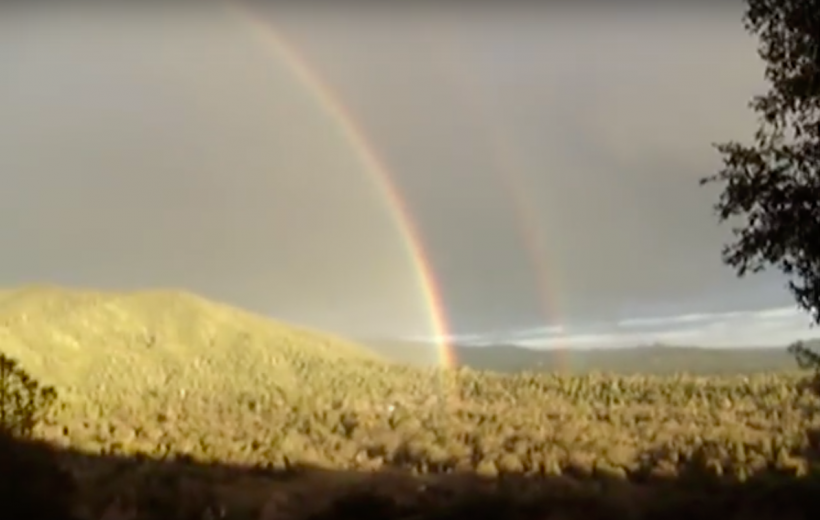 [VIRAL FLASHBACK] Remember the Double Rainbow Video That Went Viral in 2010?