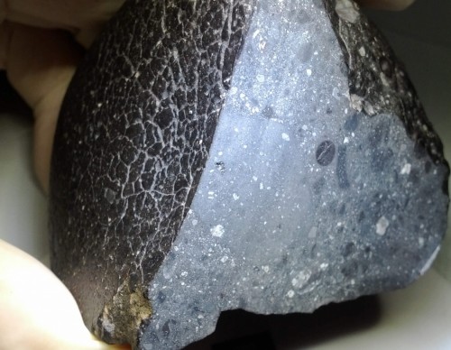 Black Beauty NWA 7034 Mars Meteorite