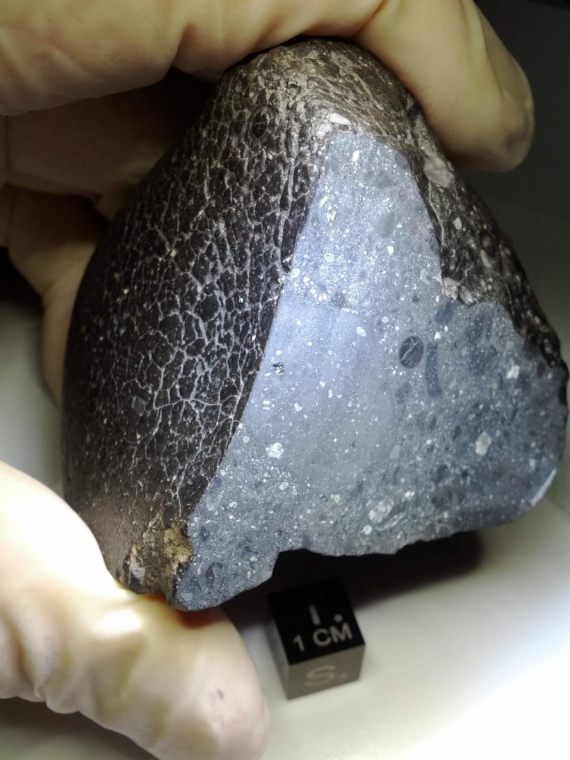 Black Beauty NWA 7034 Mars Meteorite