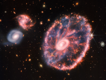 #SpaceSnap James Webb Space Telescope Photo of the Cartwheel Galaxy: What Did It Reveal?