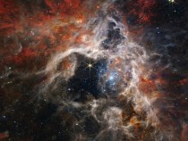 Tarantula Nebula – NIRCam