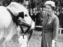 Remembering Queen Elizabeth II: Watch Her History-Making First Ever Televised Christmas Broadcast