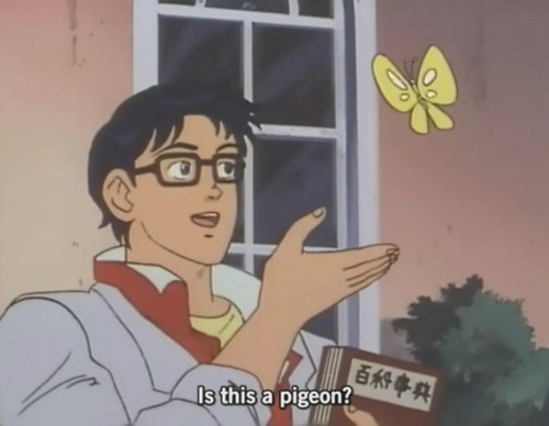 Is this a pigeon meme