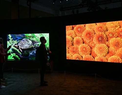 Samsung MicroLED display CES 2023