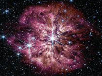 Wolf-Rayet 124 supernova process