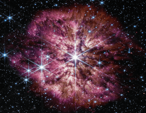 Wolf-Rayet 124 supernova process