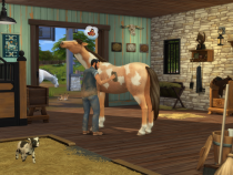 The Sims 4 Horse ranch grooming