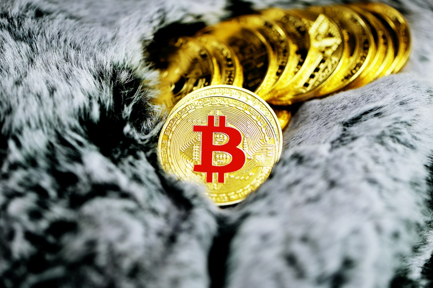 A pile of Bitcoin lays neatly on a fur surface