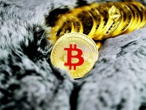 A pile of Bitcoin lays neatly on a fur surface