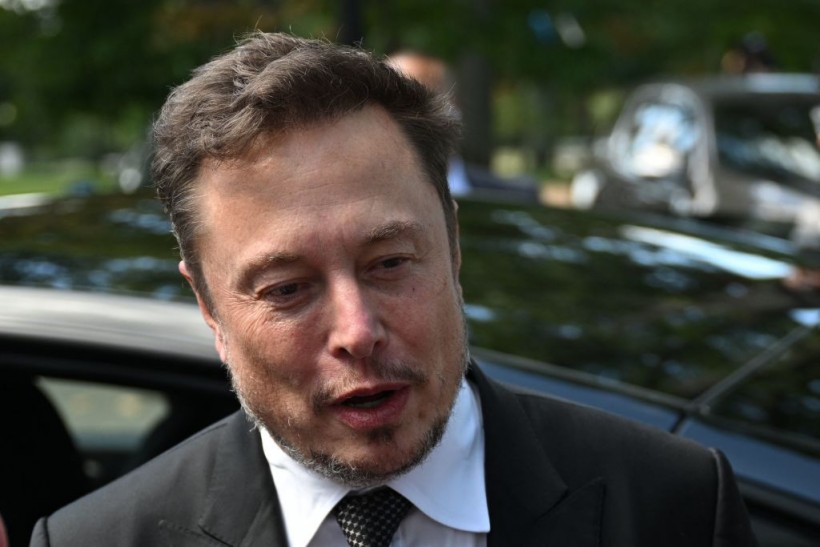 Elon Musk's X Ad Revenue Plunges Down for Entirety of 2023