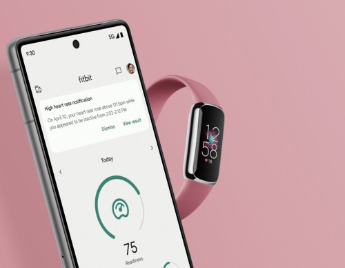 Fitbit Premium Now 60% Off for All Users