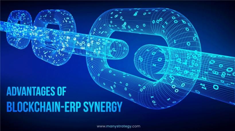 Advantages of Blockchain-ERP Synergy