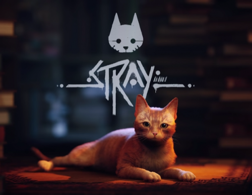 Stray