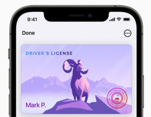 Apple Wallet Digital ID