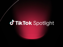 TikTok Spotlight