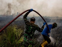 Firefighters Attempt To Extinguish Indonesia Forest Fires