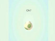 Pokemon GO Theory - Pokemon Eggs Hatch Depending On Location! (Multiple 10k Egg Hatches!)